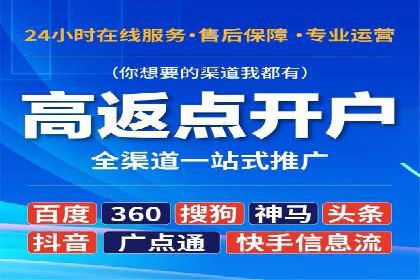 案例分析：竞价推广实战中的困境与突破